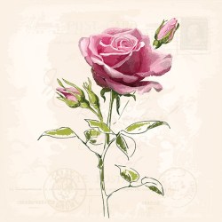 Χαρτοπετσέτα για decoupage, 1τεμ, Vintage Rose